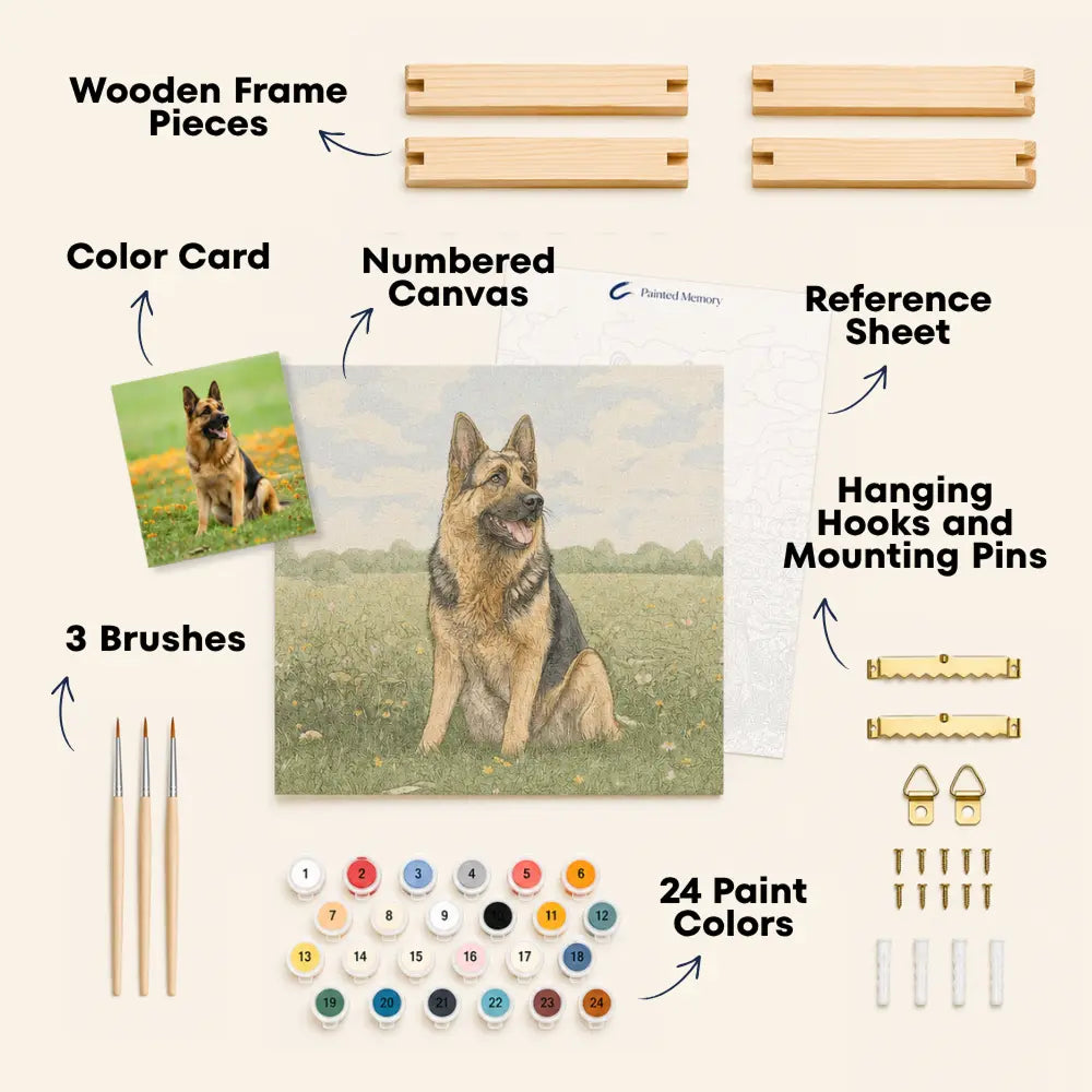 Custom Paint by Numbers Kit